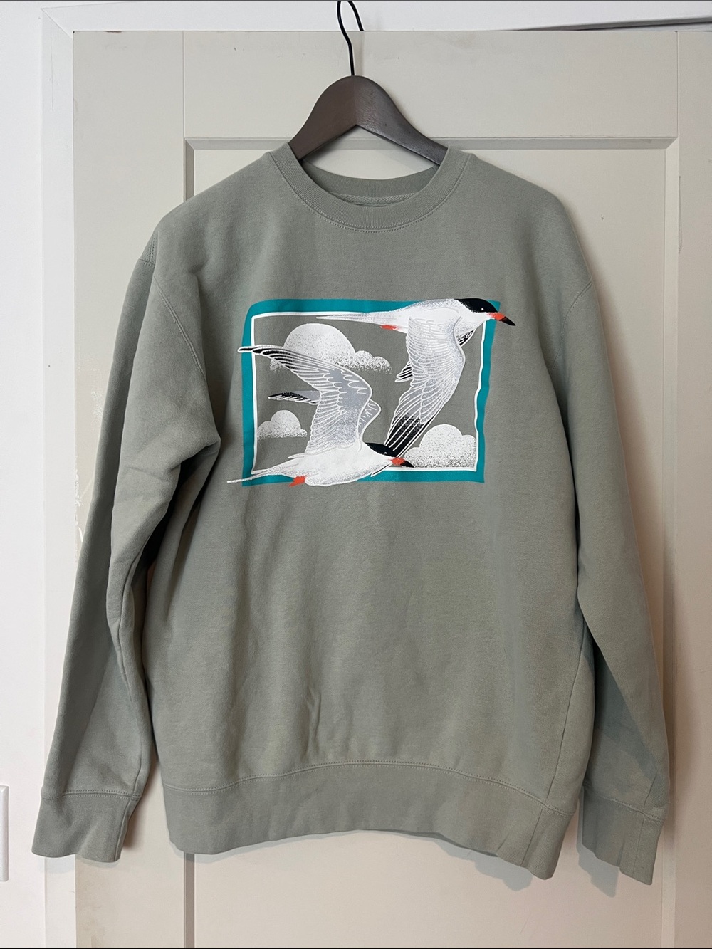 Bird Collective, Men's Crewneck Sweatshirt with Seagull Graphic - Sage Green